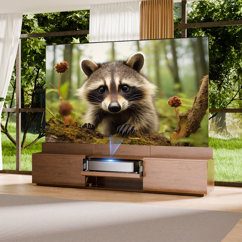 WUPROBUY Bundle UST Projector&Screen& DR-500 Fully Concealed Smart UST Laser TV Cabinet