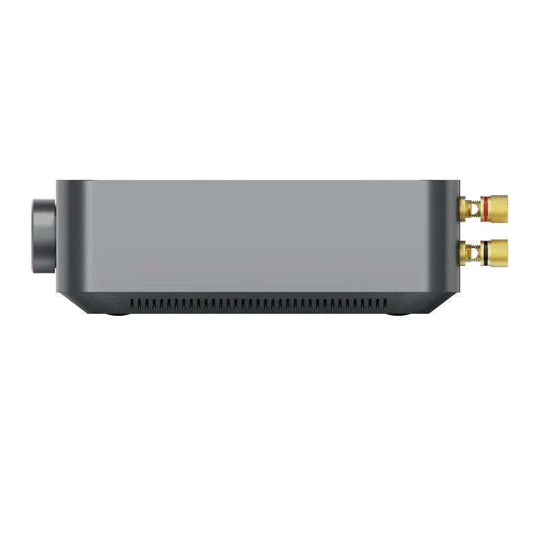 WiiM AMP | Streaming Audio - Amplificateur de classe D à 2 canaux de +60W
