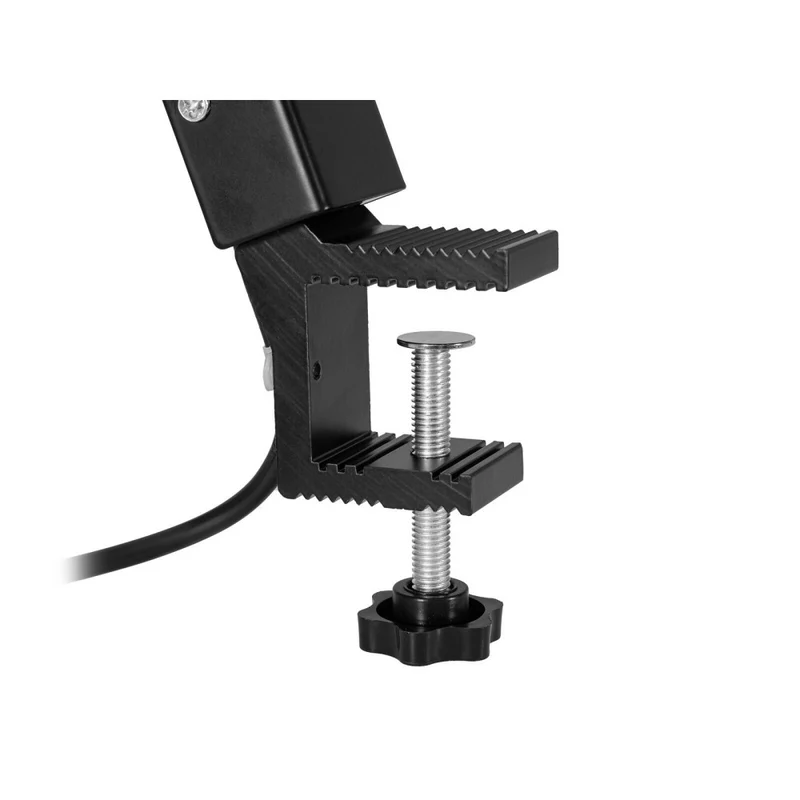 EUROLITE LED KKL-70 Floodlight 4200K nero