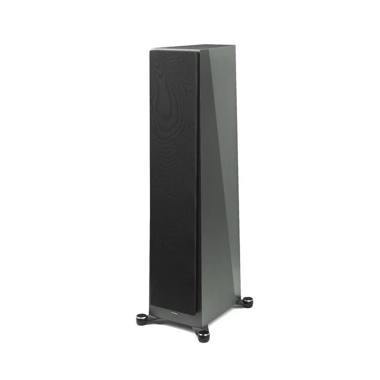 Paradigm Founder 100F | Haut-parleurs tour - 93 db - 42 Hz - 20 kHz - 8 ohms - Frozen Charcoal - Paire