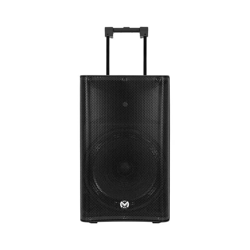 Mac Mah 600 W battery powered portable PA system, 15" LF + 3.2" HF, Bluetooth, USB key reader