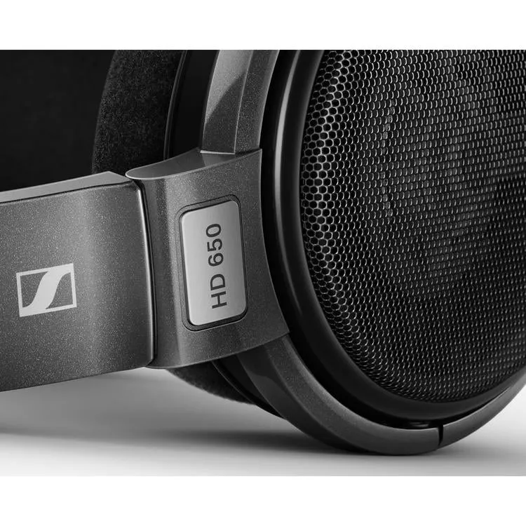 Sennheiser HD 650 | Écouteurs circum-auriculaires dynamique - Conception à dos ouvert - Pour Audiophile - Filaire - Câble OFC détachable - Noir