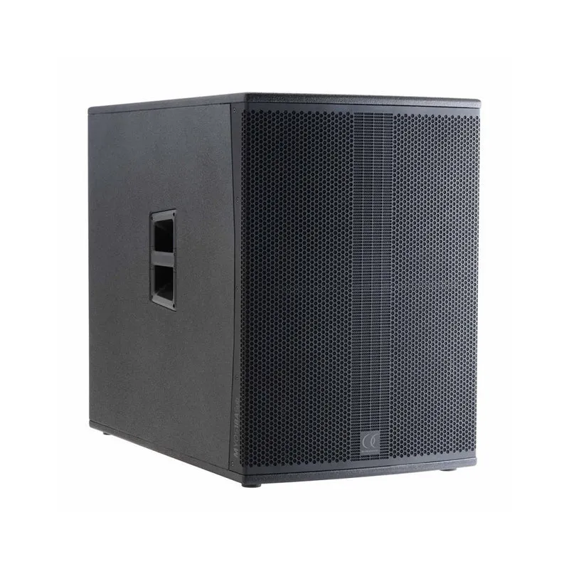 Audiophony 1000 W RMS 18' subwoofer with DSP