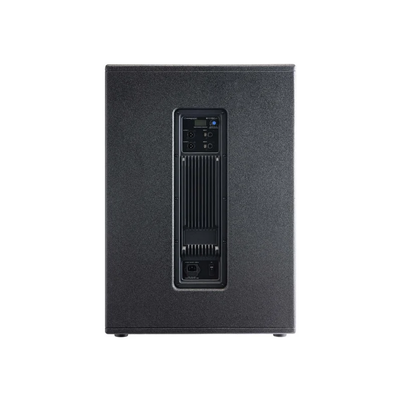 Audiophony 1000 W RMS 18' subwoofer with DSP