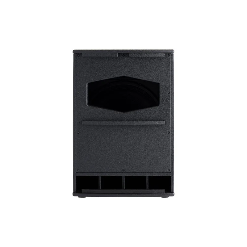 Audiophony 1000 W RMS 18' subwoofer with DSP