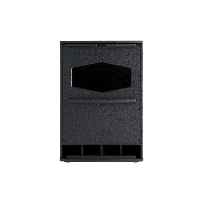 Audiophony 1000 W RMS 15' subwoofer with DSP