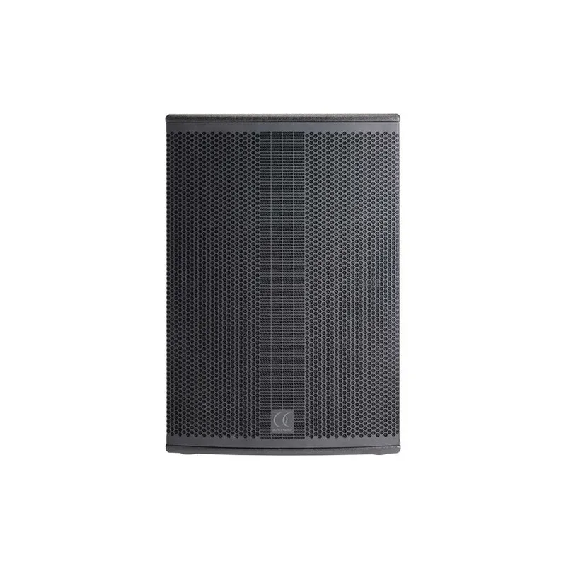 Audiophony 1000 W RMS 15' subwoofer with DSP