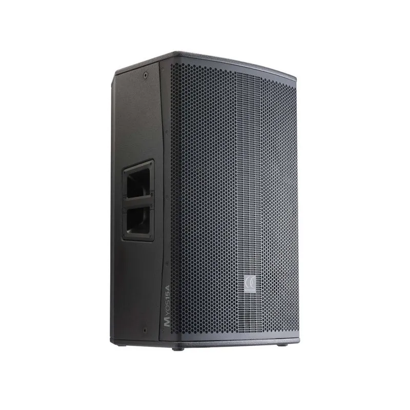 Audiophony 1000 W RMS 15' active wood speaker with DSP