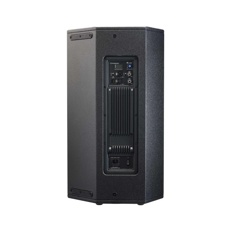 Audiophony 1000 W RMS 15' active wood speaker with DSP