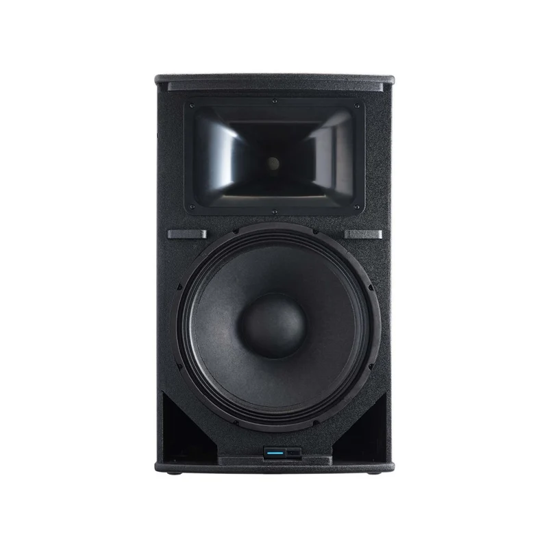 Audiophony 1000 W RMS 15' active wood speaker with DSP