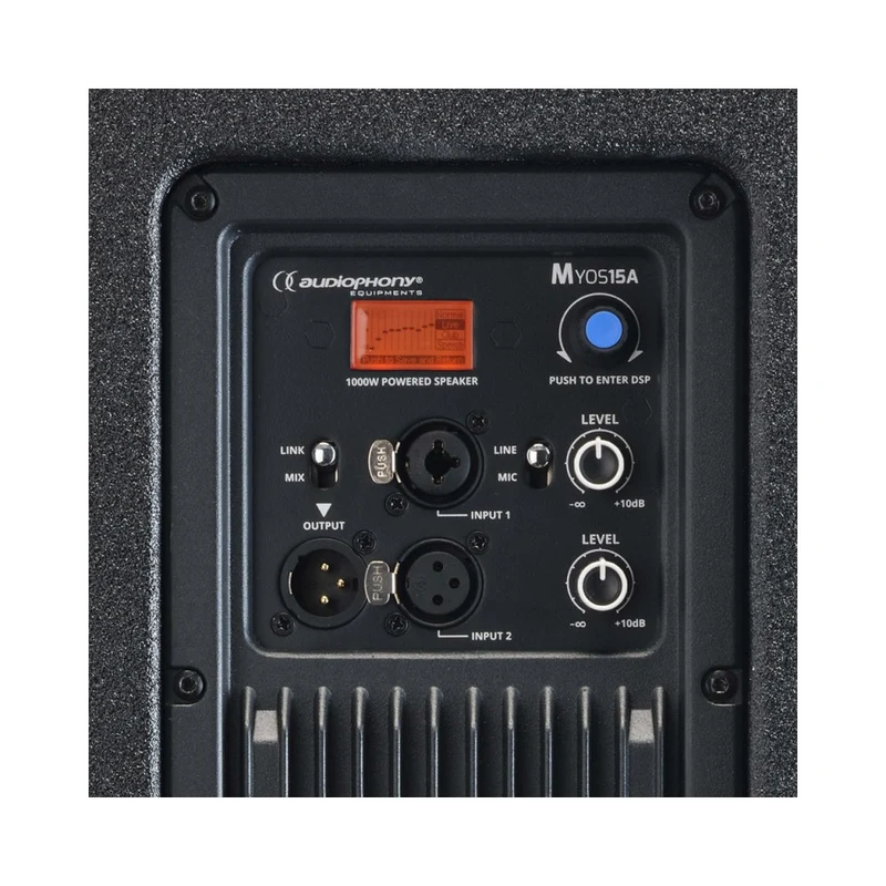 Audiophony 1000 W RMS 15' active wood speaker with DSP