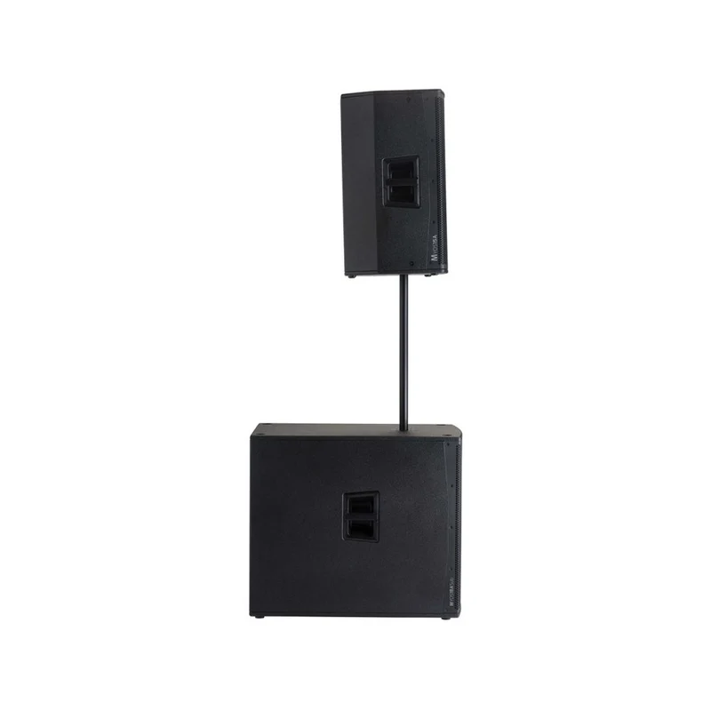 Audiophony 1000 W RMS 15' active wood speaker with DSP