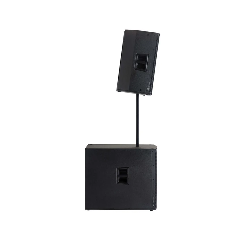 Audiophony 1000 W RMS 15' active wood speaker with DSP