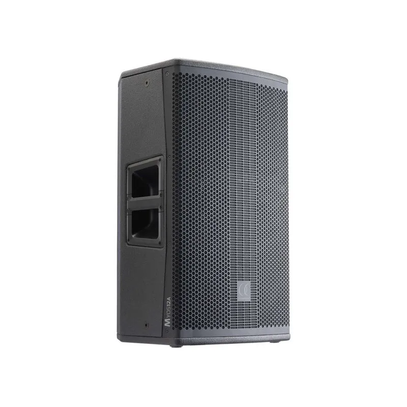 Audiophony 1000 W RMS 12' active wood speaker with DSP