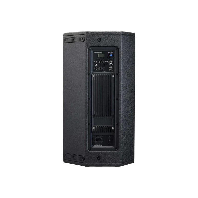 Audiophony 1000 W RMS 12' active wood speaker with DSP