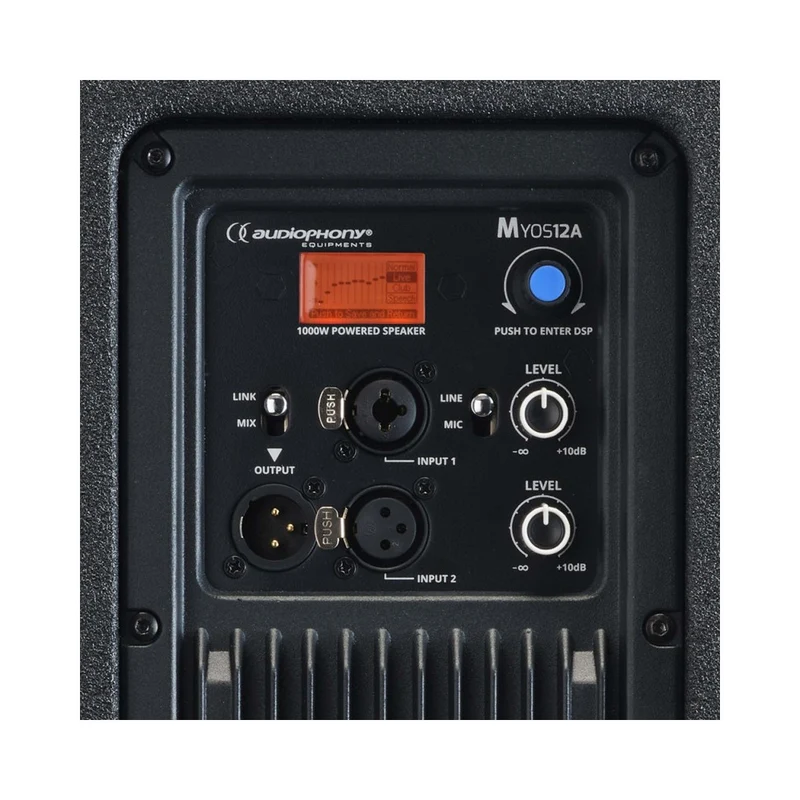 Audiophony 1000 W RMS 12' active wood speaker with DSP
