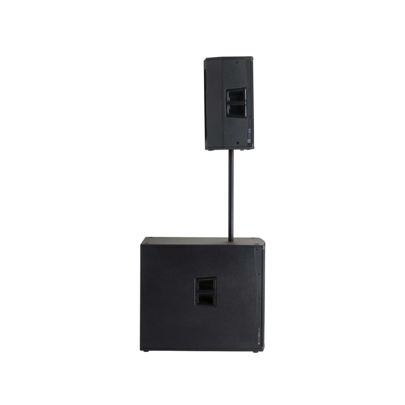 Audiophony 1000 W RMS 12' active wood speaker with DSP