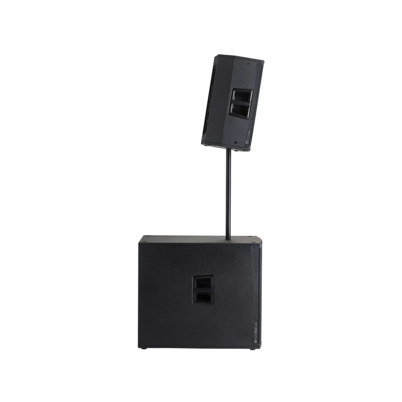 Audiophony 1000 W RMS 12' active wood speaker with DSP