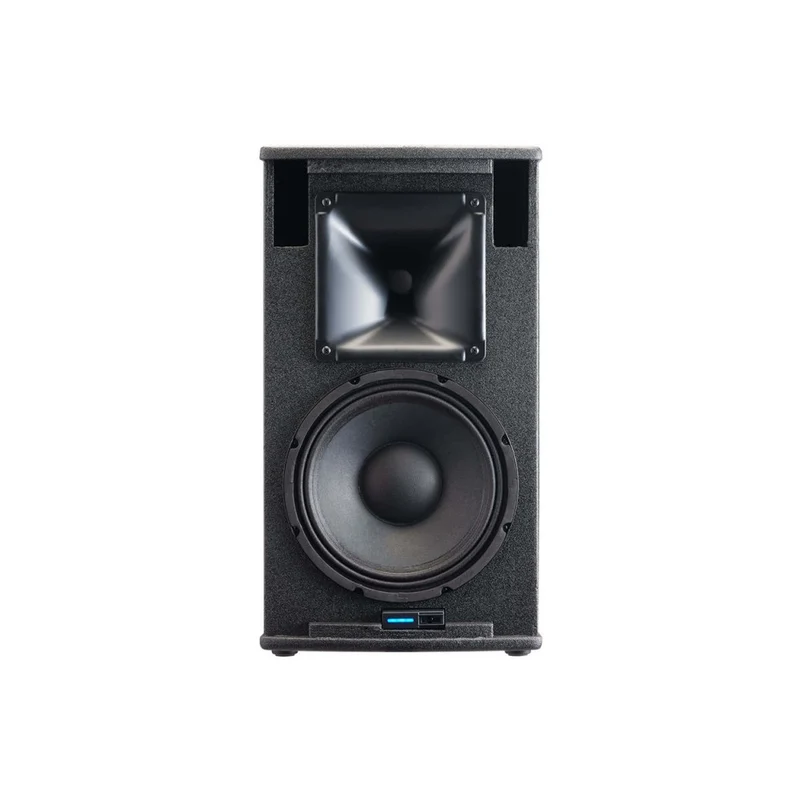 Audiophony 700W RMS 10' active wood speaker with DSP