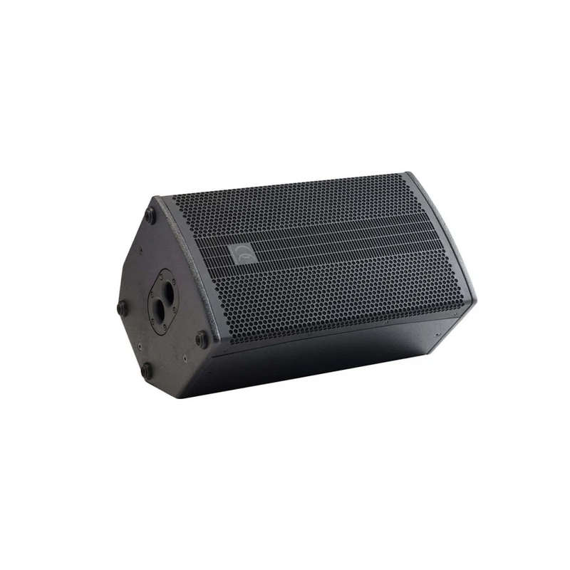 Audiophony 700W RMS 10' active wood speaker with DSP