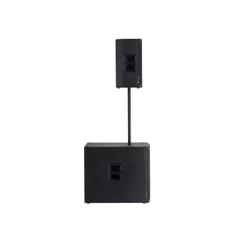 Audiophony 700W RMS 10' active wood speaker with DSP