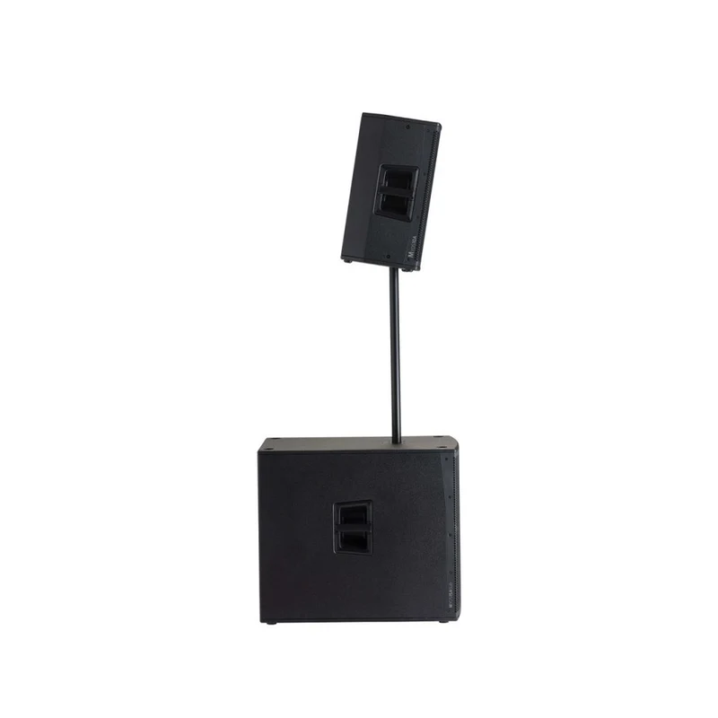 Audiophony 700W RMS 10' active wood speaker with DSP