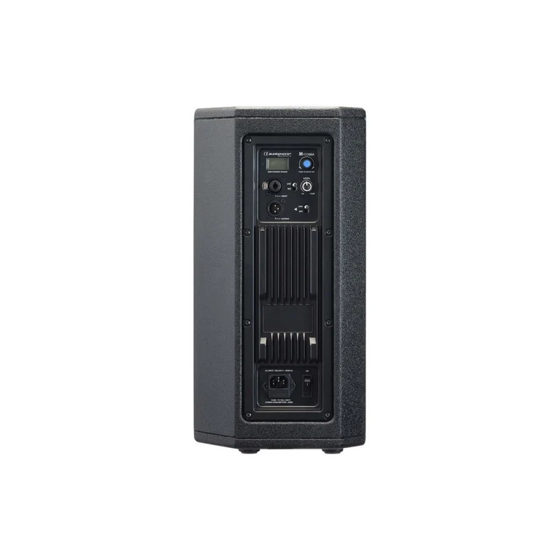 Audiophony 700W RMS 8' active wood speaker with DSP