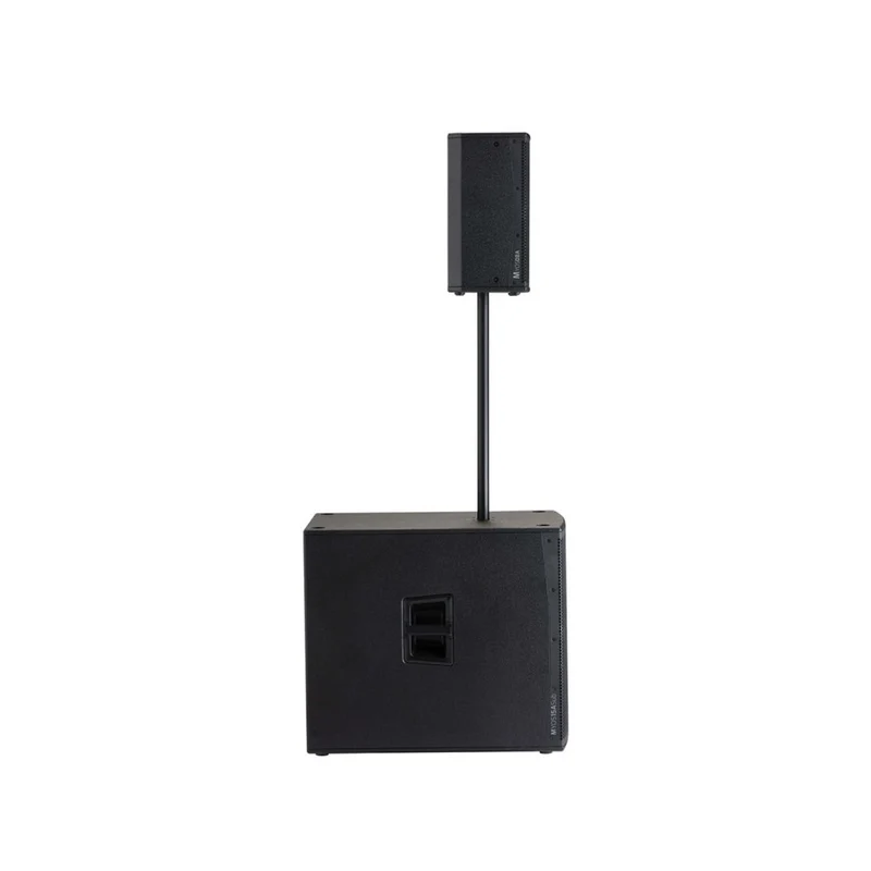 Audiophony 700W RMS 8' active wood speaker with DSP