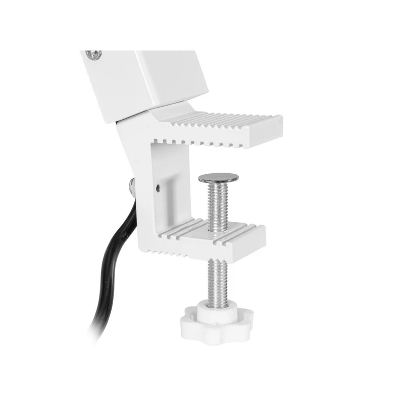 EUROLITE LED KKL-70 Floodlight 4200K bianco