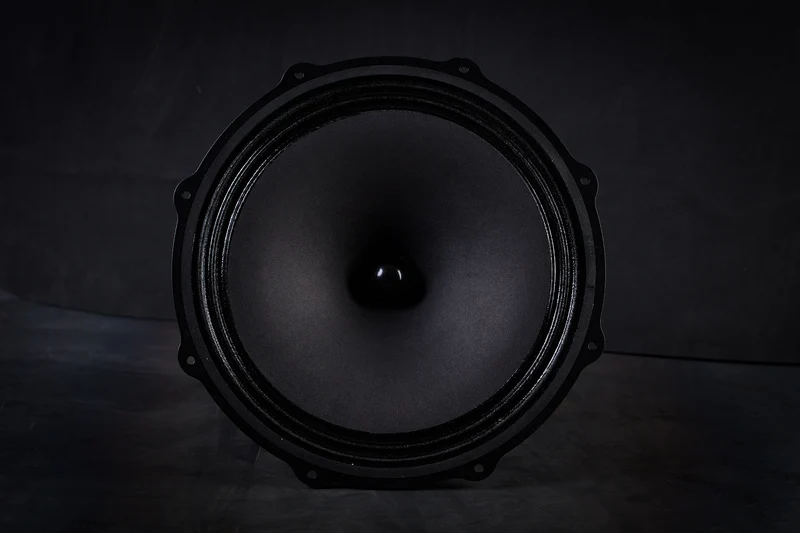285-2000 mk2 Haut-parleur grave-médium 45W / 101,5dB / 8 Ohms