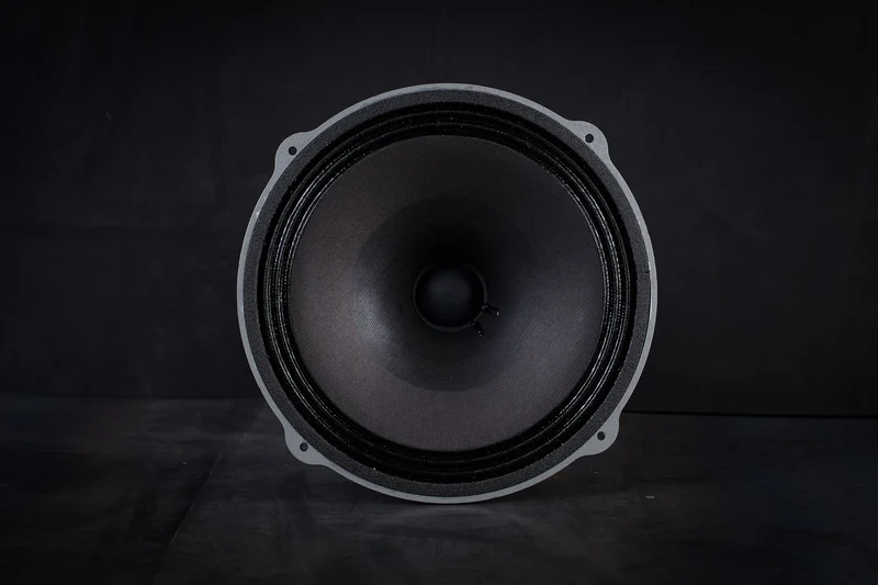 245 Héritage Haut-parleur grave-médium étendu 50W / 101,5dB / 8 Ohms