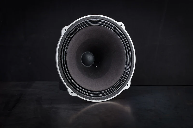 245 Héritage Haut-parleur grave-médium étendu 50W / 101,5dB / 8 Ohms