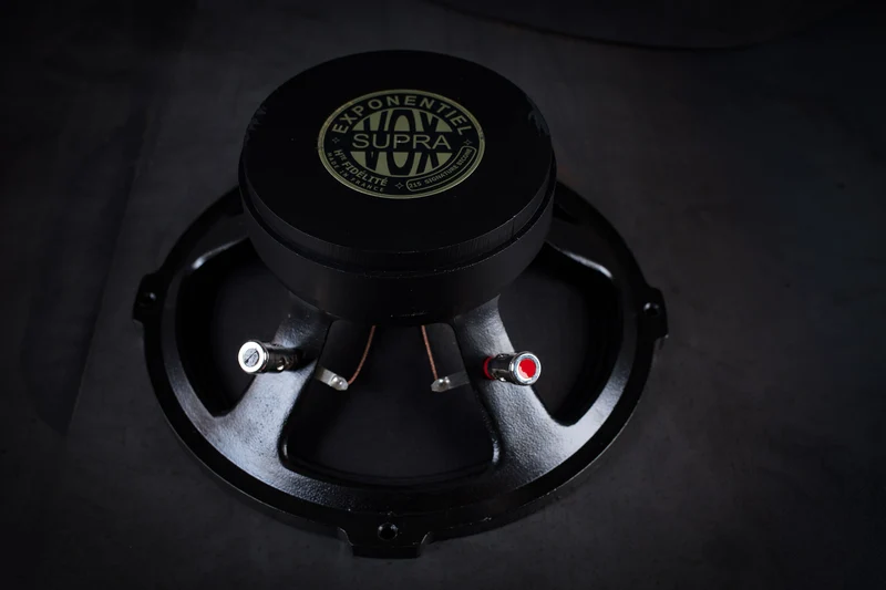 215 Signature Bi-Cône 35W / 94,5dB / 8 Ohms