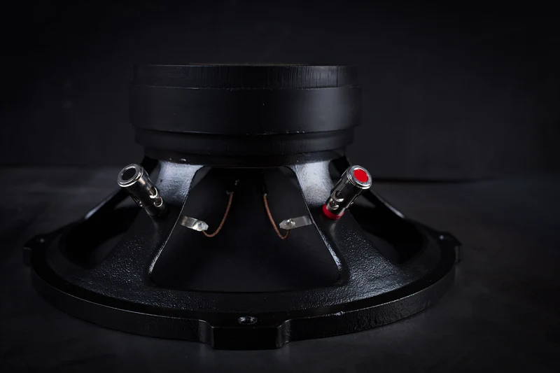 215 Signature Bi-Cône 35W / 94,5dB / 8 Ohms
