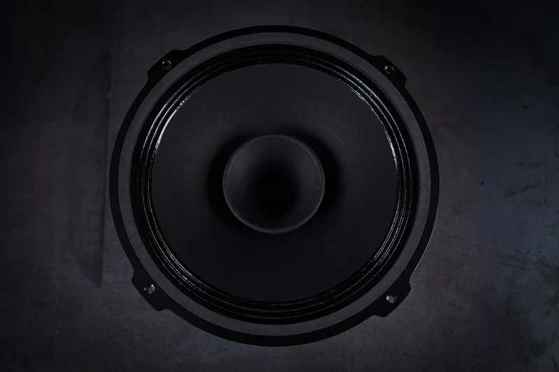 215 Signature Bi-Cône 35W / 94,5dB / 8 Ohms