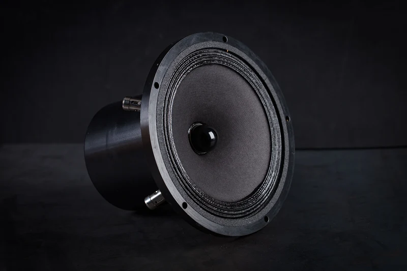 165-2000 mk2 Haut-parleur large bande 35W / 96,5dB / 6 Ohms