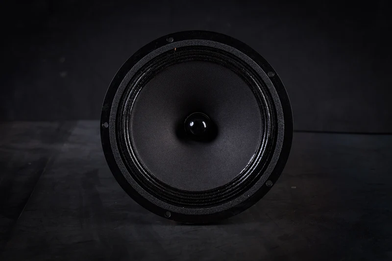 165-2000 mk2 Haut-parleur large bande 35W / 96,5dB / 6 Ohms