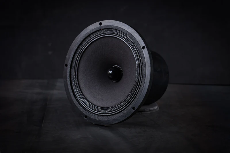 165-2000 mk2 Haut-parleur large bande 35W / 96,5dB / 6 Ohms