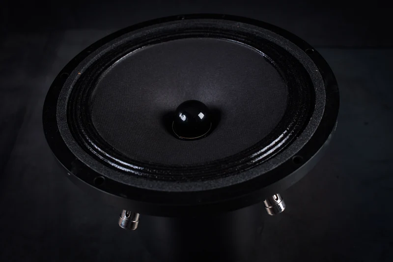 165-2000 mk2 Haut-parleur large bande 35W / 96,5dB / 6 Ohms