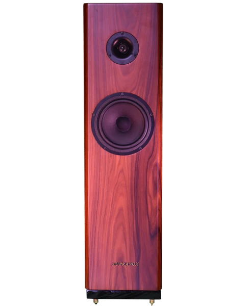 YC SIGNATURE - Paire d'enceintes acoustiques colonne 60W