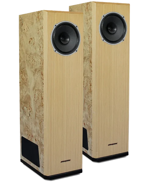 ALIZEE HERITAGE - Paire d'enceintes acoustiques colonne 2x25W / 96dB