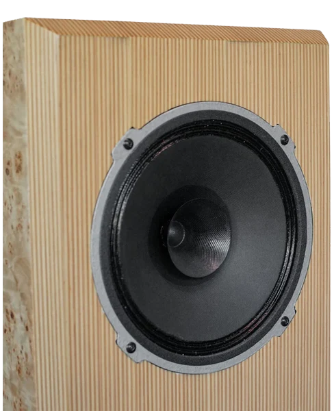 ALIZEE HERITAGE - Paire d'enceintes acoustiques colonne 2x25W / 96dB