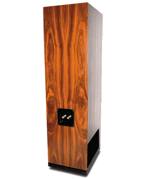 ALIZEE - Paire d'enceintes acoustiques colonne 2x20W / 99dB